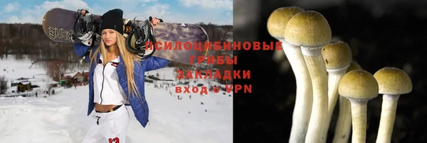 apvp Лагань