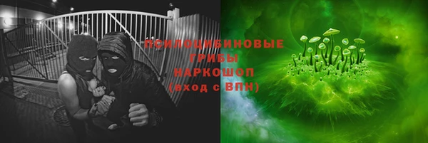 apvp Лагань