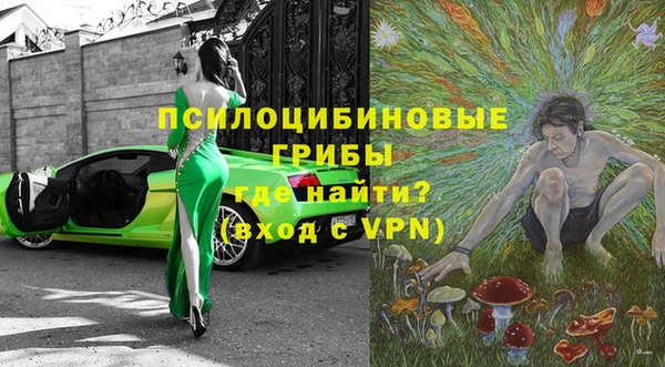 apvp Лагань