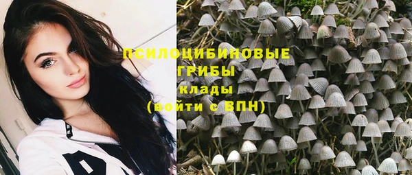 apvp Лагань