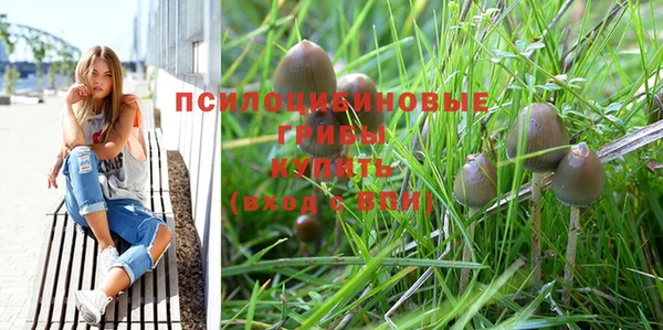 гашишное масло Ладушкин
