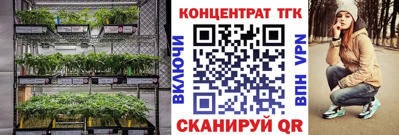 наркотики  Сургут  ТГК вейп с тгк 