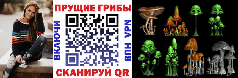 Галлюциногенные грибы Psilocybe  Сургут 