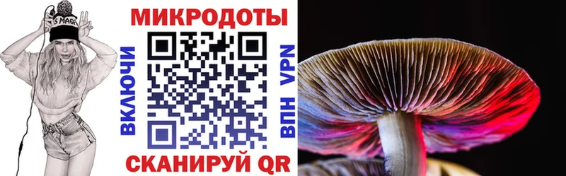 Галлюциногенные грибы мицелий Сургут