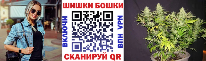 продажа наркотиков omg зеркало МАРИХУАНА OG Kush Сургут